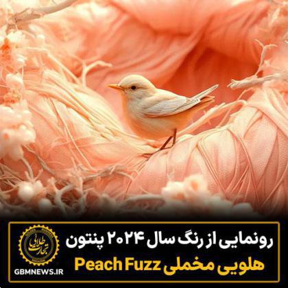 رونمایی از رنگ سال 2024 پنتون، هلویی مخملی Peach Fuzz